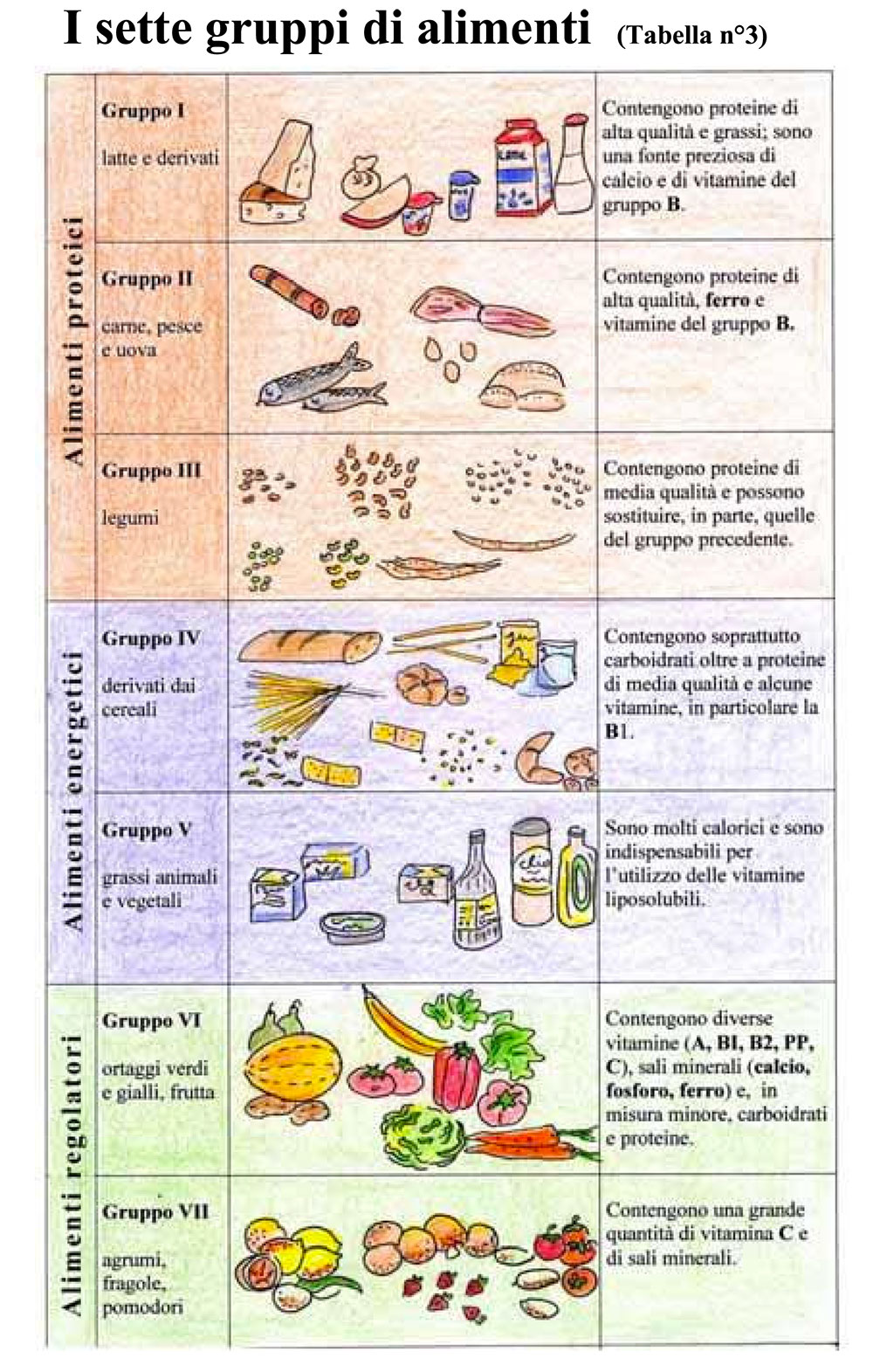 Schede Dell Alimentazione Per La Scuola Personal Dieta